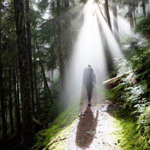 A person navigating through a forest with sunlight beaming through the trees, preparing for survival.