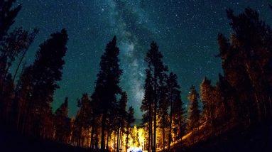 A starry sky illuminates a tent in the wilderness, emphasizing the need for survival skills.